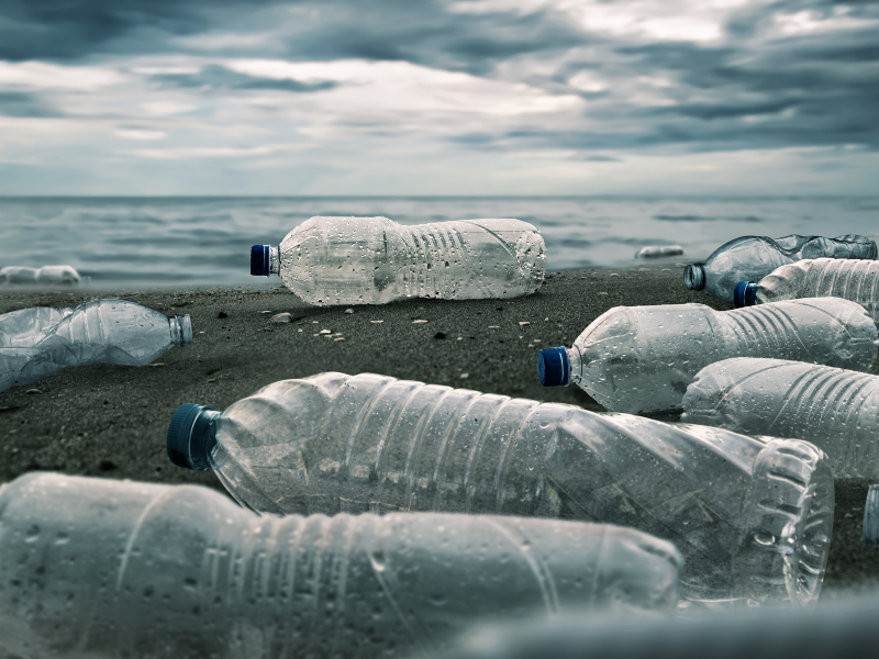 Is Recycled Polyester Sustainable?