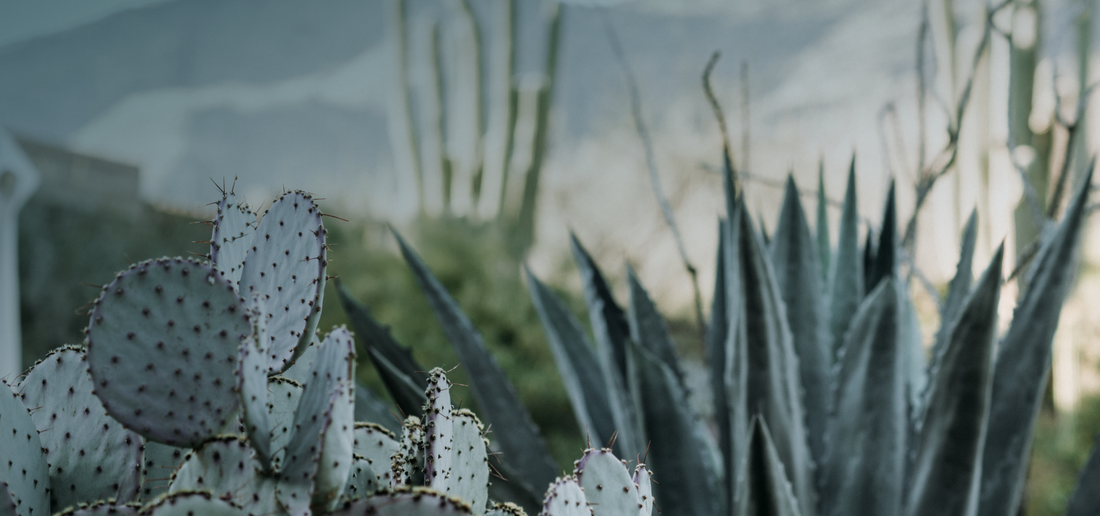 How Does Sustainable Fashion Help the Environment?