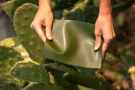 How is Cactus Leather different from Traditional Leather?